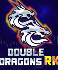 RenkoKings.com