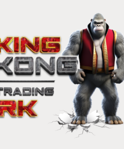 RenkoKings.com